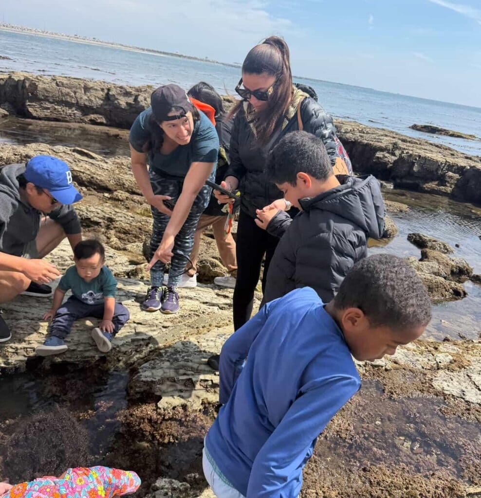Wave Makers: A South Bay Marine Biologist Brings Ocean Adventures to Local Families 3 Wave Makers: A South Bay Marine Biologist Brings Ocean Adventures to Local Families