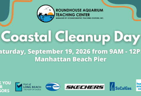 Roundhouse Aquarium Hosts Coastal Cleanup Day at Manhattan Beach Pier 77 2026 Coastal Cleanup Day Banner