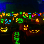 Jack O' Lantern Experience at South Coast Botanic Garden